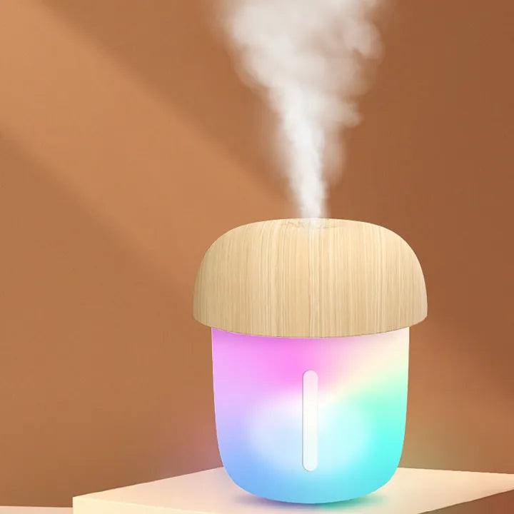 Mushroom-Shaped Portable Mini Humidifier | USB Aroma Diffuser &amp; Cool Mist (300ml) With Box